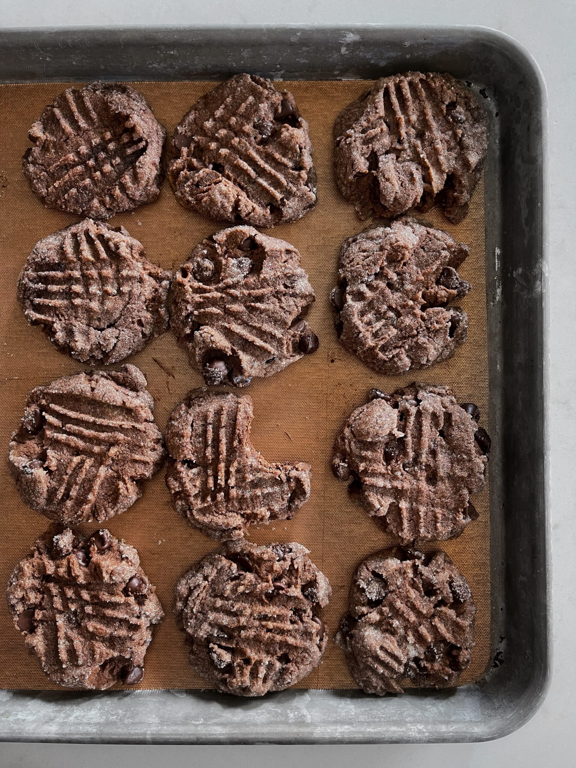 Double Chocolate Peanut Butter Cookies